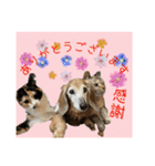 すずらんと仲間たちの巻（個別スタンプ：24）