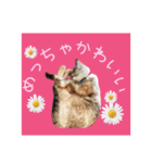 すずらんと仲間たちの巻（個別スタンプ：25）