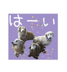 すずらんと仲間たちの巻（個別スタンプ：26）