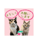 すずらんと仲間たちの巻（個別スタンプ：27）