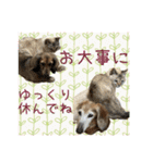 すずらんと仲間たちの巻（個別スタンプ：28）