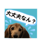 すずらんと仲間たちの巻（個別スタンプ：29）