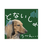 すずらんと仲間たちの巻（個別スタンプ：30）