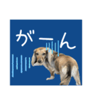 すずらんと仲間たちの巻（個別スタンプ：32）