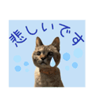すずらんと仲間たちの巻（個別スタンプ：33）