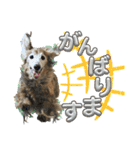 すずらんと仲間たちの巻（個別スタンプ：34）