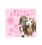 すずらんと仲間たちの巻（個別スタンプ：35）