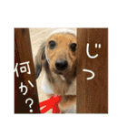 すずらんと仲間たちの巻（個別スタンプ：36）
