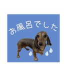 すずらんと仲間たちの巻（個別スタンプ：37）