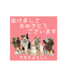 すずらんと仲間たちの巻（個別スタンプ：39）