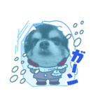 プロペラ（個別スタンプ：1）