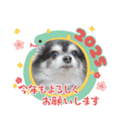 プロペラ（個別スタンプ：2）
