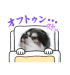 プロペラ（個別スタンプ：4）