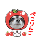 プロペラ（個別スタンプ：7）