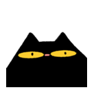 え！これ何？黒猫かよ！？（個別スタンプ：40）