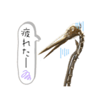 鳥が色々言うスタンプ#3（個別スタンプ：5）