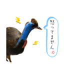 鳥が色々言うスタンプ#3（個別スタンプ：6）