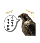 鳥が色々言うスタンプ#3（個別スタンプ：10）