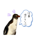 鳥が色々言うスタンプ#3（個別スタンプ：13）