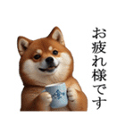 【冬・年末年始】肥犬（個別スタンプ：9）