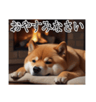 【冬・年末年始】肥犬（個別スタンプ：12）