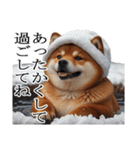 【冬・年末年始】肥犬（個別スタンプ：17）