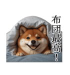 【冬・年末年始】肥犬（個別スタンプ：20）