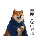 【冬・年末年始】肥犬（個別スタンプ：26）