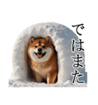 【冬・年末年始】肥犬（個別スタンプ：32）