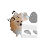 シンプルな はる①（個別スタンプ：2）