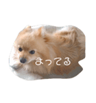 シンプルな はる①（個別スタンプ：6）