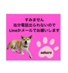 シバ犬のさくらさんの「すみません」➕α（個別スタンプ：9）