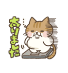 まんまるねこちゃんの日常スタンプ（個別スタンプ：21）