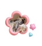 レヴみスタンプ2（個別スタンプ：2）