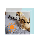 レヴみスタンプ2（個別スタンプ：6）