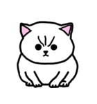 かわいい太った猫の日常（個別スタンプ：6）