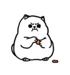 かわいい太った猫の日常（個別スタンプ：10）