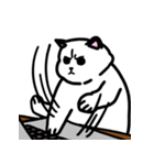 かわいい太った猫の日常（個別スタンプ：22）
