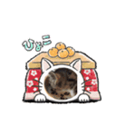 あげちよ（個別スタンプ：7）