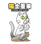 四文字猫語 その1（個別スタンプ：1）