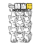 四文字猫語 その1（個別スタンプ：39）