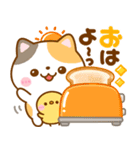 毎日使いやすい♡ねこねこにゃんこ（個別スタンプ：1）