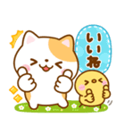 毎日使いやすい♡ねこねこにゃんこ（個別スタンプ：4）