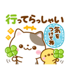 毎日使いやすい♡ねこねこにゃんこ（個別スタンプ：17）