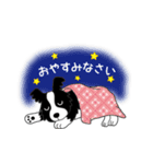 つかいやすい！ボーダーコリースタンプ（個別スタンプ：12）