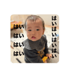 My nephew 陽 2024（個別スタンプ：29）