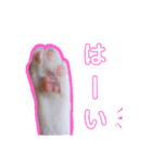 うーちゃんだ（個別スタンプ：2）