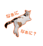 うーちゃんだ（個別スタンプ：9）