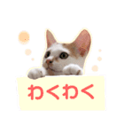 うーちゃんだ（個別スタンプ：10）