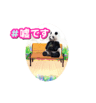 パンダと犬の面白スタンプ（個別スタンプ：4）